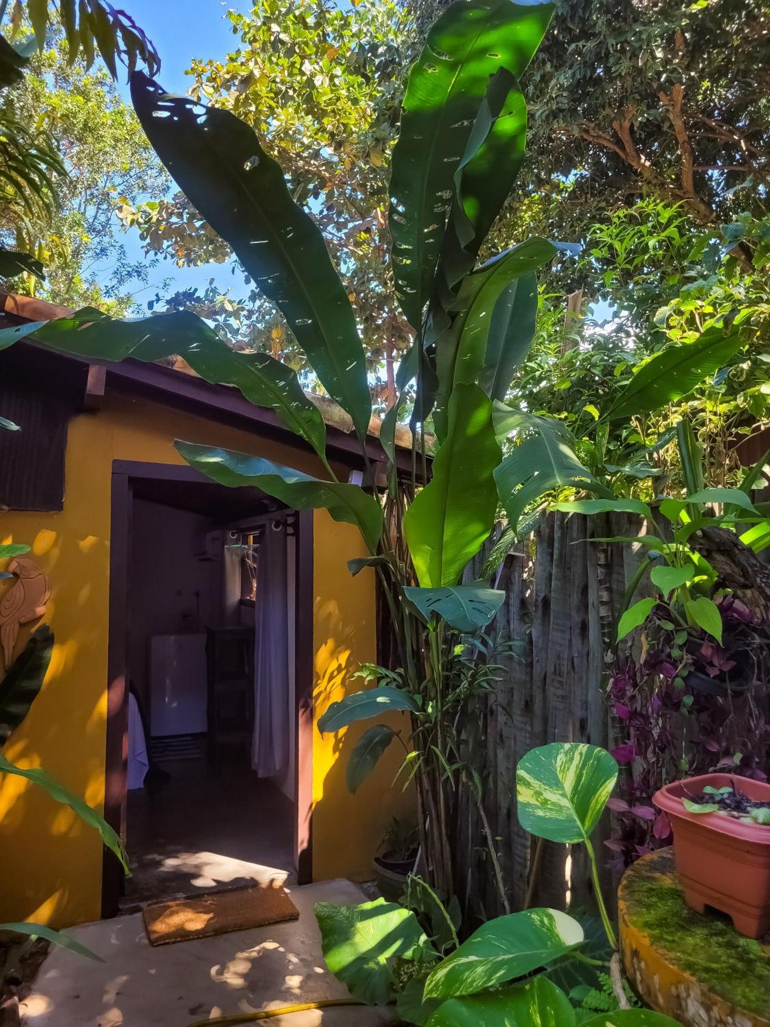 Pousada Raiz Forte Caraiva Bagian luar foto