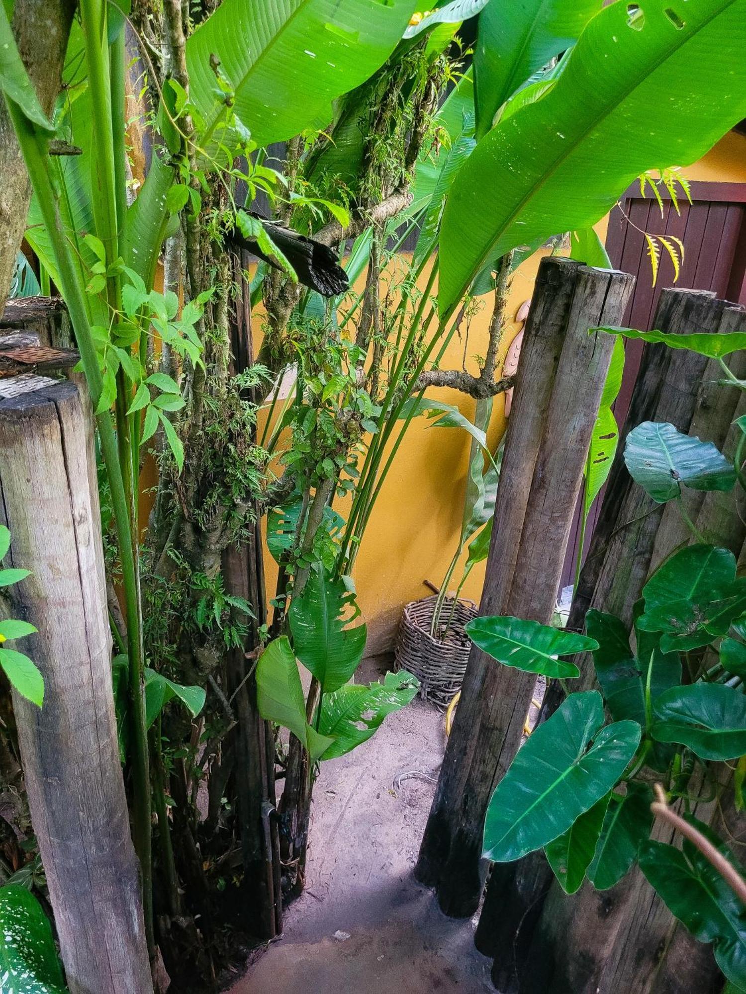 Pousada Raiz Forte Caraiva Bagian luar foto