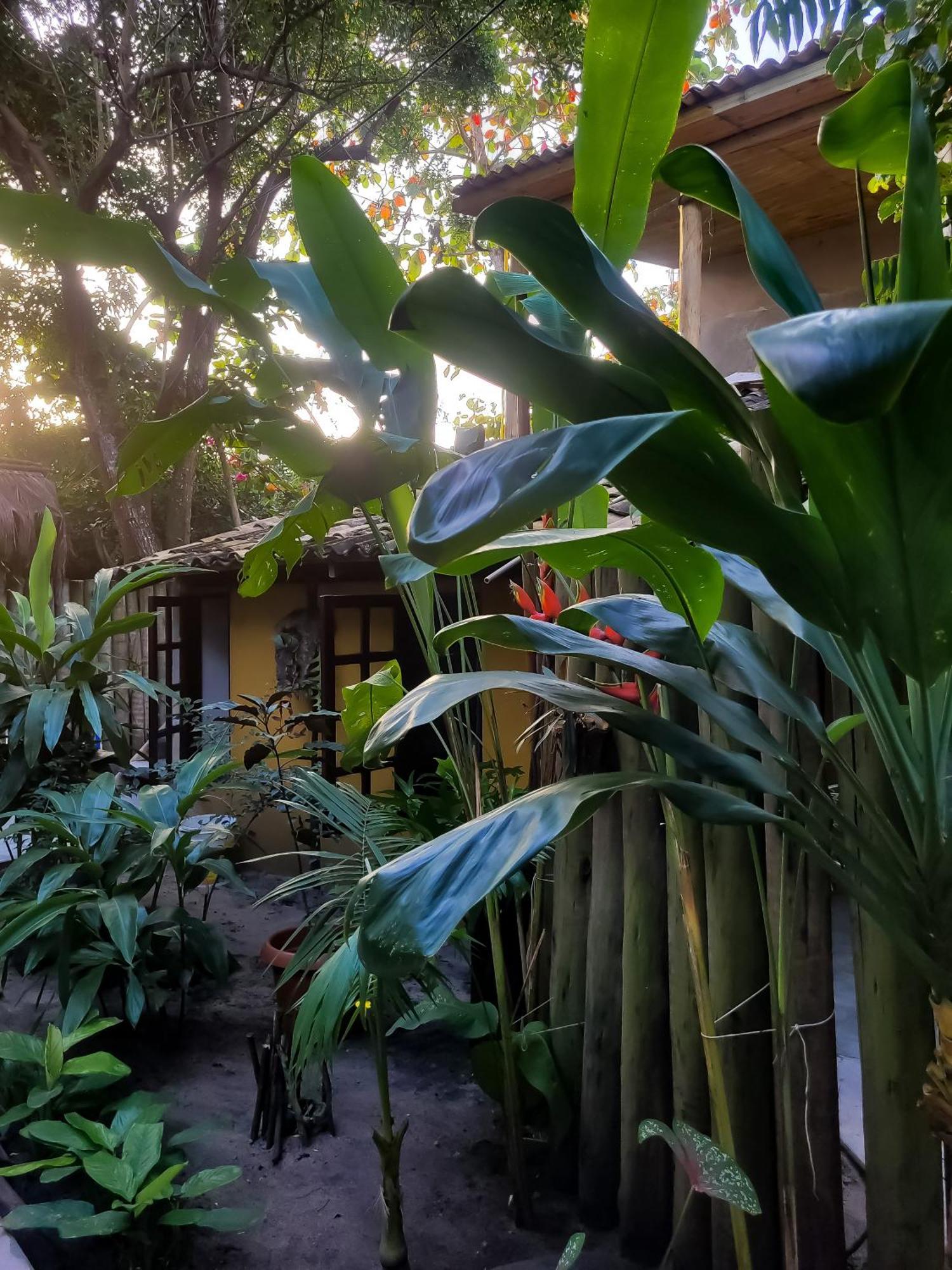 Pousada Raiz Forte Caraiva Bagian luar foto